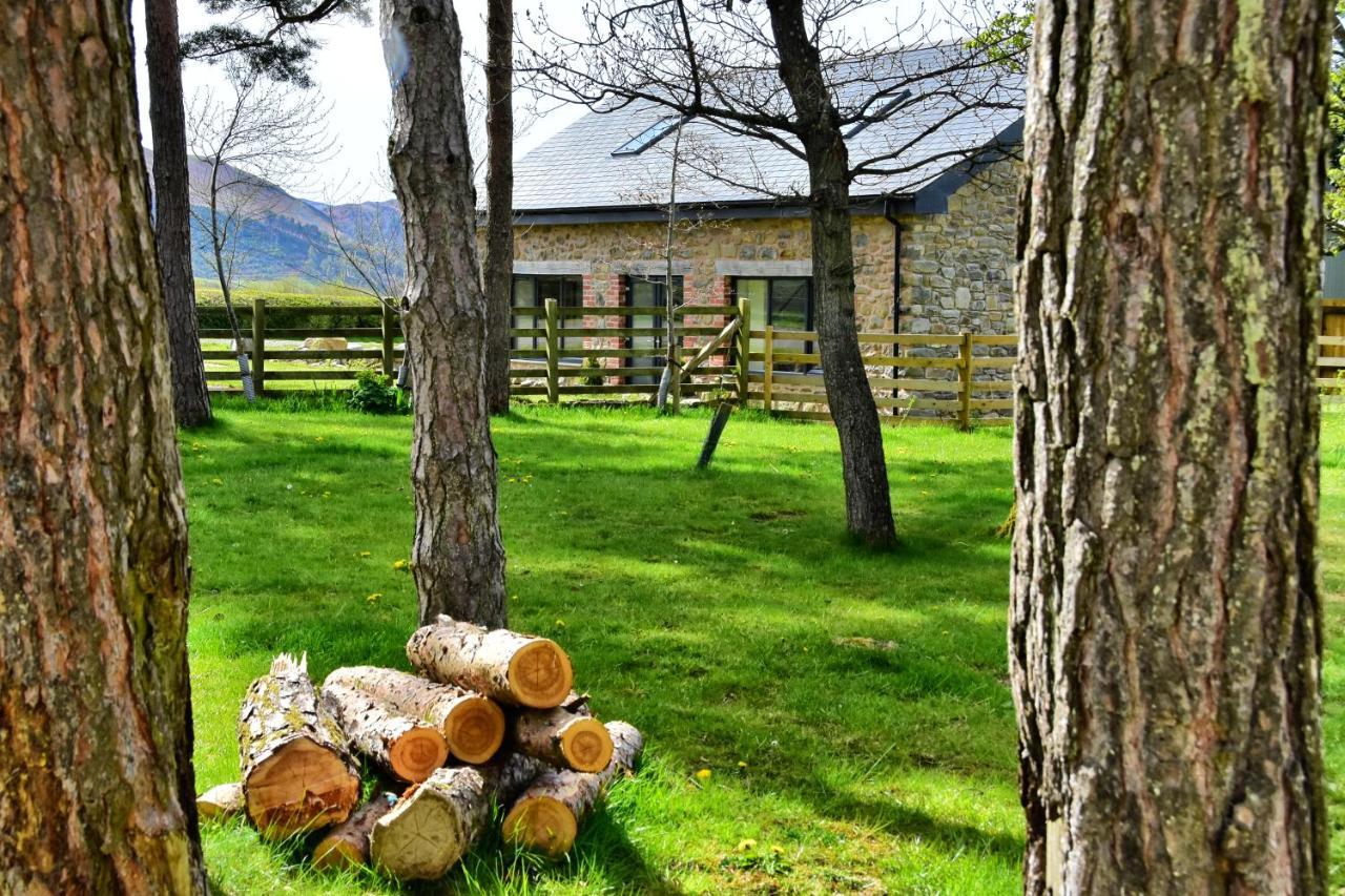 Chic Cottage Near Elan Valley And Builth Wells Llanwrthwl エクステリア 写真